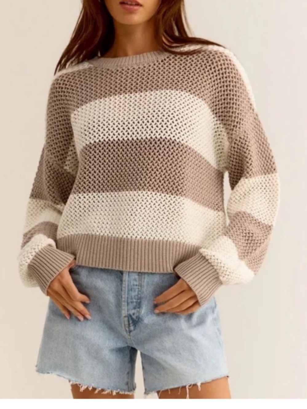 NWT Z Supply Bonapart Iced Coffee Sweater